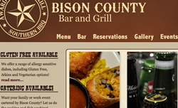 Bison County
